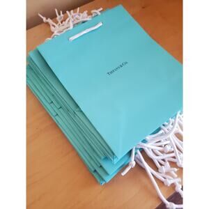 TIFFANY & Co. 10" x 8" x 4” Blue MEDIUM Paper Gift Shopping Bag New ONE